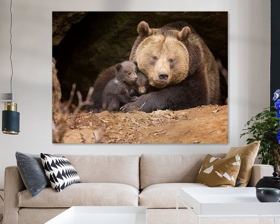 Aperçu de la chambre