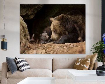 Brown bear family by Dieter Meyrl