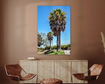 Palm trees on the beach of La Serena by Thomas Riess