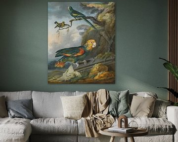 Een papegaai, een parkiet en een goudvink, Christophe Huet