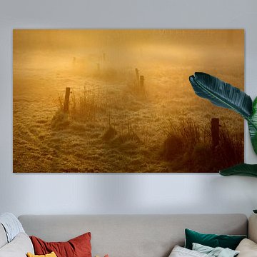 Mist tijdens zonsopkomst