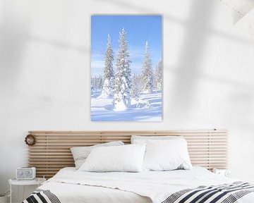 Winter in Lapland van Nicole Geerinck