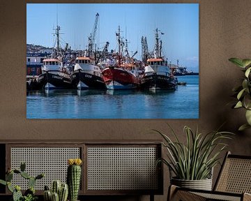 In the port of Coquimbo by Thomas Riess