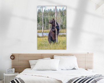 Standing European brown bear. by Albert Beukhof