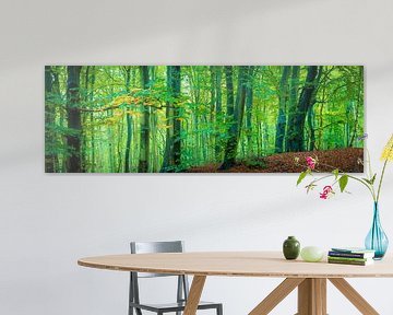 Forêt Panorama - Île de Rügen sur Martin Wasilewski