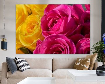 Geel en roze rozen close up van Jolanda de Jong-Jansen