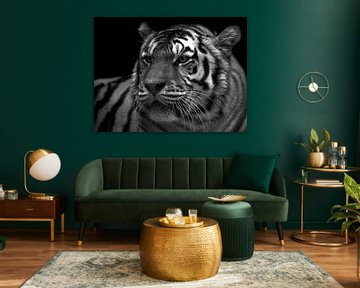 Tiger schwarz und weiß von Jan Jacob Alers