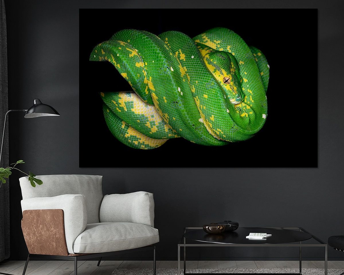 Raumvorschau