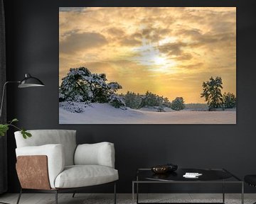 Snowy winter landscape in a drifting sand dune area by Sjoerd van der Wal Photography