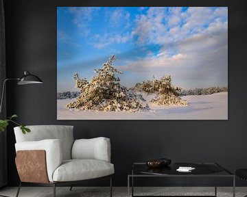 Winterlandschap met sneeuw in op de Veluwe van Sjoerd van der Wal Fotografie