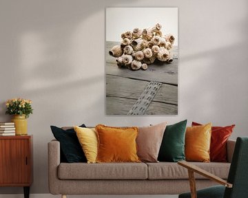 Still life with dried poppy bulbs (2) by Mayra Fotografie