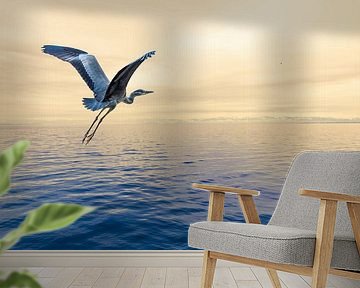 Grey heron flies over Lake Constance by Dieter Walther