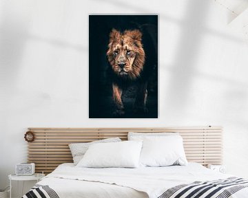 Oude ontspannen leeuw in beeld. van Fotos by Jan Wehnert