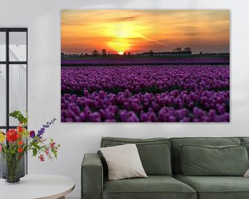 Tulpen bij zonsondergang van Elly Damen