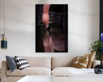 Ein Flamingo Trinkt am Wasserloch von Fotos by Jan Wehnert