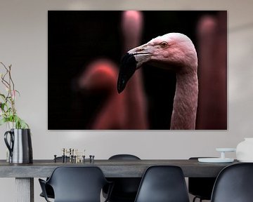 Flamigo hoofd in beeld. Flamingo van Fotos by Jan Wehnert