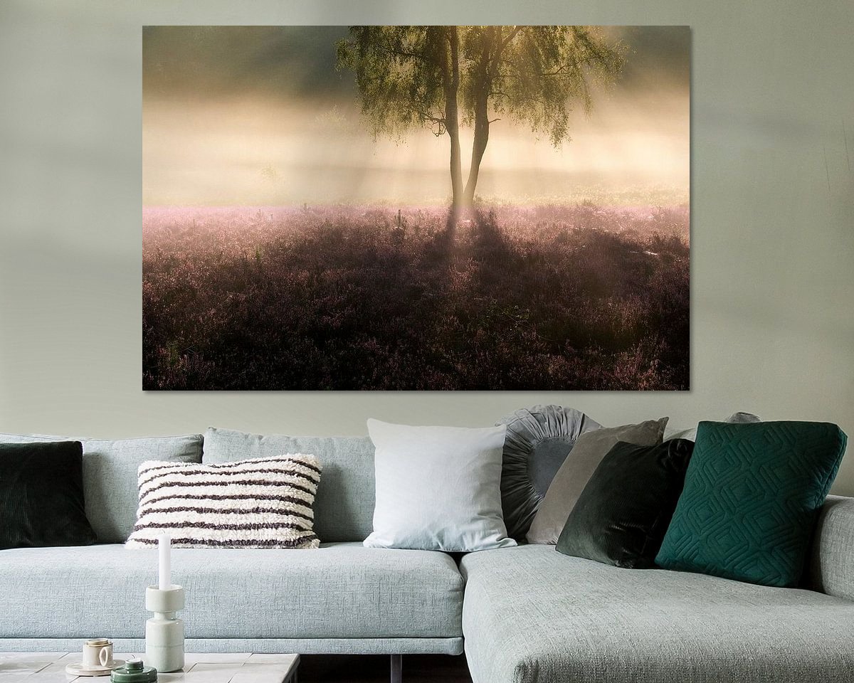 Raumvorschau