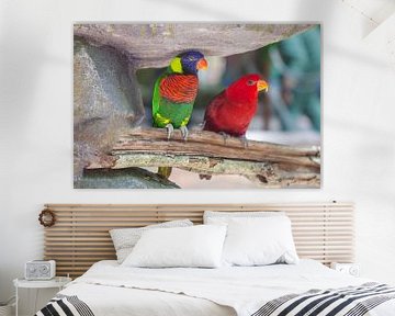 Paar papegaaien van t.ART