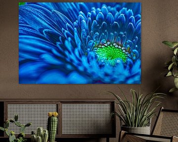 Kunstige blauwe gerbera bloem van Jolanda de Jong-Jansen