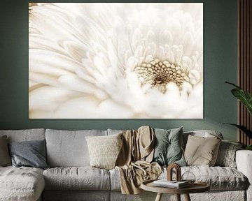 Lumière blanche créative dans la fleur de gerbera sur Jolanda de Jong-Jansen