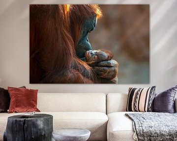 orangutan mother cares for her baby by Mario Plechaty Photography