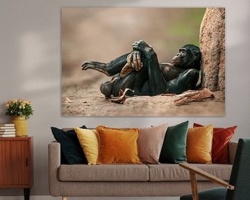 Chimpansee mannetje van Mario Plechaty Photography
