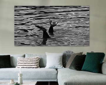 Dolphins | Black and White Marine Nature Photography by Carolina Reina