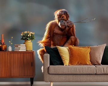 Orang Utan cub by Mario Plechaty Photography