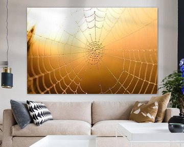 Spinnenweb in de herfst van Karin Jähne