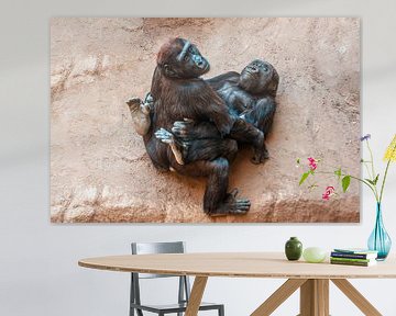 spelende gorilla kinderen van Mario Plechaty Photography