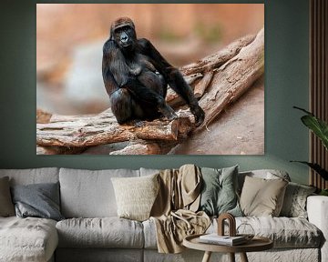 Gorilla Mutter sitzt auf einem Baumstamm von Mario Plechaty Photography