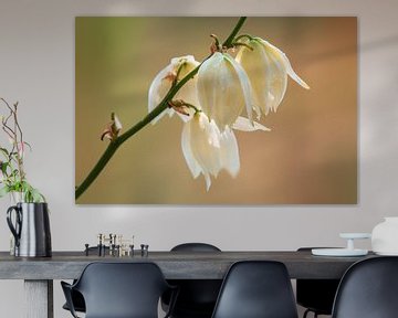 Witte bloemen van Mario Plechaty Photography