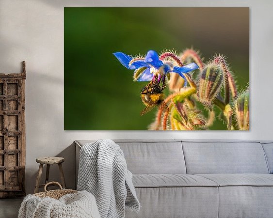 Aperçu de la chambre