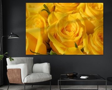 Yellow roses bloom by Jolanda de Jong-Jansen