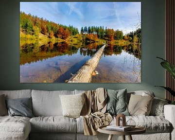 Couleurs d'automne sur un lac de la Forêt-Noire sur Hans-Bernd Lichtblau