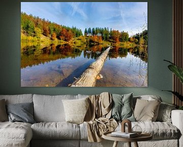 Herbstfarben  an einem See  im Schwarzwald von Hans-Bernd Lichtblau