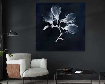 Blaue Magnolien von Affect Fotografie