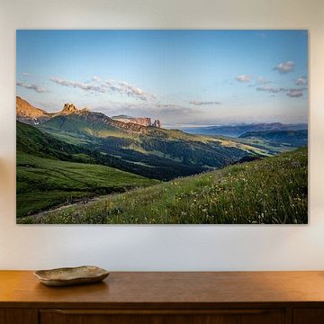 Bloemetjes in de Dolomieten