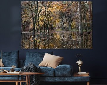Reflectie van herfstbos in Leuvenum van Felix Sedney