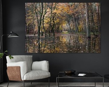 Reflection of autumn forest by Felix Sedney