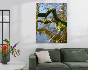 water logg by Andrea van Zwol