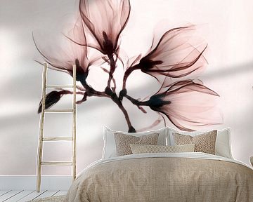 Pink transparent magnolia van Affect Fotografie