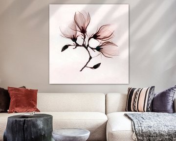 Pink transparent magnolia van Affect Fotografie