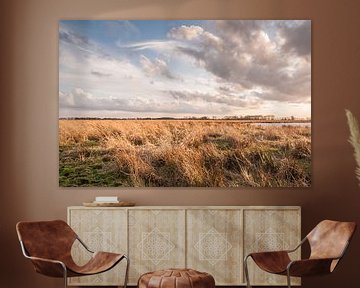 Reed in the polder von Richard Janssen