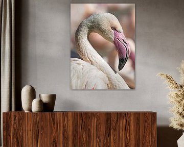 Portrait of a pink flamingo by Katrin May