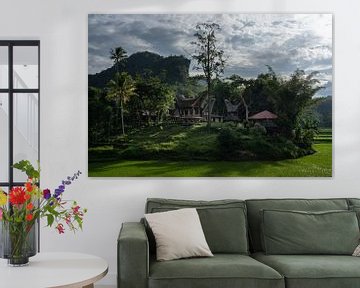 A traditional village in Toraja between the rice fields by Anges van der Logt