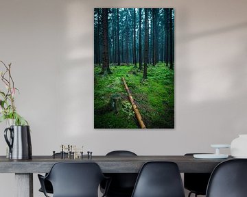 Bos in het Harz gebergte van Martin Wasilewski