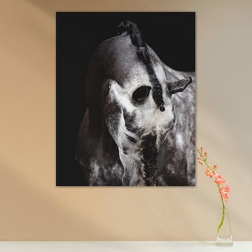 Art équin sur Estelle Roelofs