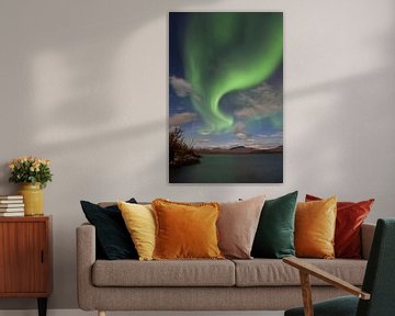 Aurora Borealis über dem Torneträsk - Lappland