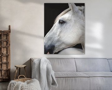 Equine Fine-Art Fidalgo van Estelle Roelofs